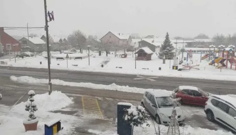 NU&Scaron;TAR - SIJEČANJ 2026.