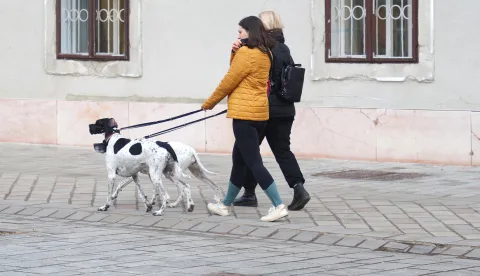 Osijek, 27. 02. 2025., Tvrđa, jutro, jutro u Tvrđi, jutarnja rutina, &scaron;etnja pasa; pas; psi; &scaron;etnjaSNIMIO BRUNO JOBST