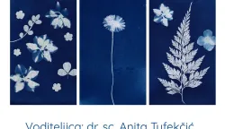 Ministarstvo obrazovanja odobrilo je &scaron;koli 1800 eura za provedbu projekta "Fotografija u plavom &ndash; kreativnost kroz cijanotipiju"siječanj 2026.