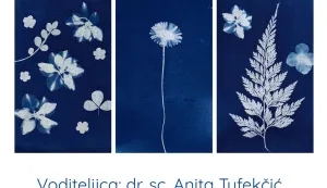 Ministarstvo obrazovanja odobrilo je &scaron;koli 1800 eura za provedbu projekta "Fotografija u plavom &ndash; kreativnost kroz cijanotipiju"siječanj 2026.