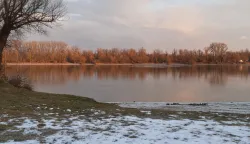 Dunav Batina snijeg zima