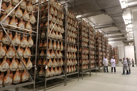 Čepin, 06. 05. 2'025, Prezentacija i Uprava Žito Grupe i obilazak. Pr&scaron;utana.snimio GOJKO MITIĆ