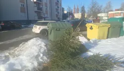 ĐakovoOdbačena božićna drvcaSiječanj 2026.