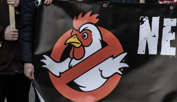 Zagreb, 16.1.2026 - Zelena akcija, Prijatelji životinja i Građanska inicijativa "Si&scaron;čani ne žele biti smetli&scaron;čani" održali su prosvjednu akciju povodom zahtjeva Ministarstvu za&scaron;tite okoli&scaron;a i zelene tranzicije u kojem traže da se odbace planovi dva investitora koji na području Sisačko-moslavačke županije planiraju gradnju oko 18 mega projekata farmi i klaonica pilića. Foto Hina/ Dario GRZELJ/ dag