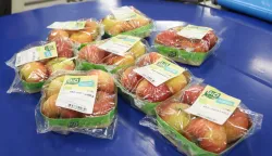 Osijek, 08. 01. 2026, Industriska zona Nemetin. Regionalni distribucijski centar, RDC, županica Nata&scaron;a Trami&scaron;ak obi&scaron;la centar i sastala se s proizvođačima jabuka. Linija za pakovanje jabuka, pakeraj.snimio GOJKO 