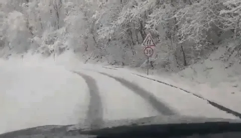 Cesta Kutjevo Orahovica