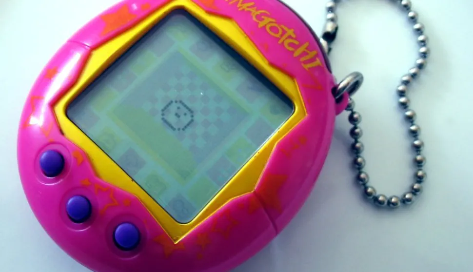 foto Tomasz Sienicki [user: tsca, mail: tomasz.sienicki at gmail.com] - Own work, CC BY-SA 3.0, https://commons.wikimedia.org/w/index.php?curid=2169298