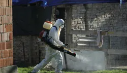 19.09.2025., Vardarac - Odvoz svinja zbog afričke kuge. Brojne eutanazirena svinje su odvedene, a prostor gdje su se nalazile je dezinficiran Photo: David Jerkovic/PIXSELL