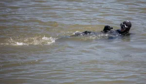 26.06.2021., Vukovar - Pokazna vjezba "Dunav 2021" na kojoj je simulirano gasenje pozara na kruzeru te spasavanje utopljenika. Photo:Davor Javorovic/PIXSELL