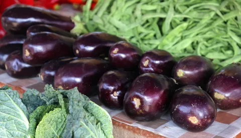 Osijek, 12. 08. 2025., Glavna tržnica, pija, ponuda, ljeto, cijene, ponuda, patlidžan; patlidžaniSNIMIO BRUNO JOBST