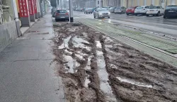 Kaljuža, glib u Reisnerovojsiječanj 2026.Snimio: Ivan Alilović