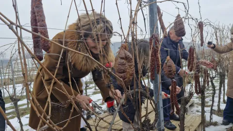 Vince&scaron;ka Belje 2026.