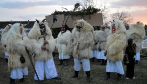 Petaračke bu&scaron;e