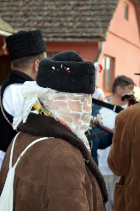 Dra&scaron;ke bu&scaron;e