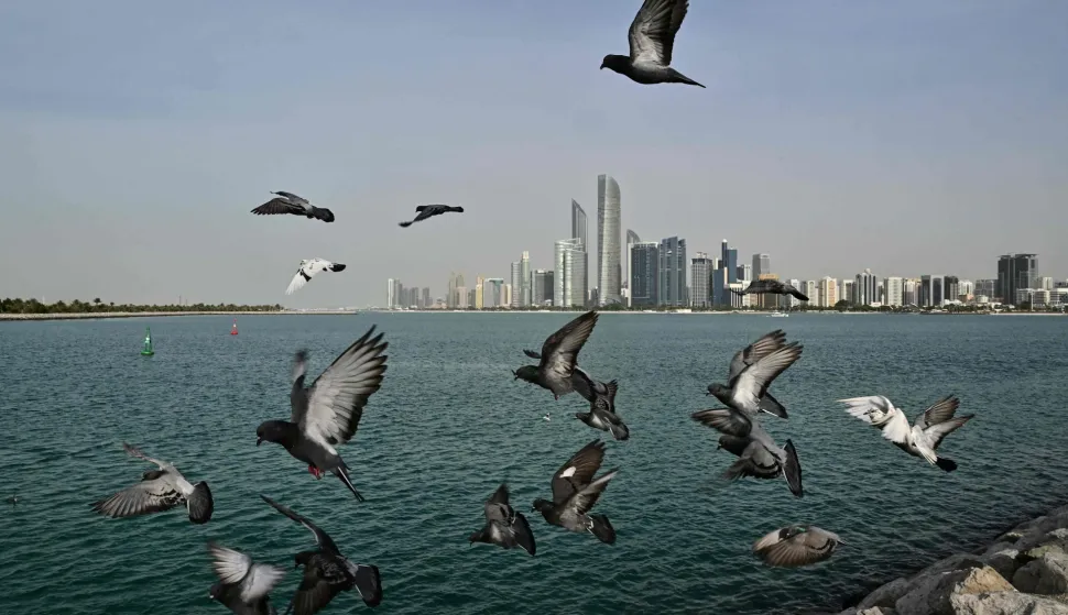 A flock of pigeons flies along a promenade overlooking the Abu Dhabi skyline on January 23, 2026. High-level teams from Ukraine, Russia and the United States were headed for Abu Dhabi for talks on January 23 -- a day after the US president met with his Ukrainian counterpart in Davos and hours after the US envoy held late-night talks with the Russian president in the Kremlin. (Photo by Giuseppe CACACE/AFP)