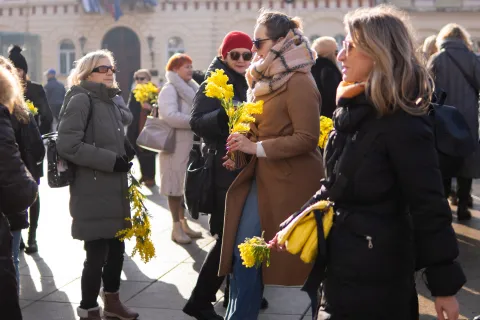 Osijek, 24. 1. 2026., Dan mimozadan mimoza; mimoze; zdravlje; HPV; dan borbe protiv raka maternice