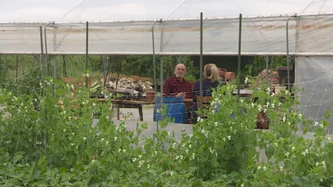 pogled u dvori&scaron;te