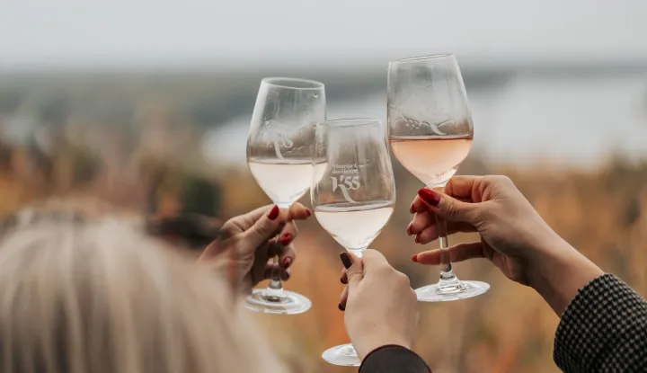 Dan otvorenih vrata Erdutskog vinogorja 2025.K55