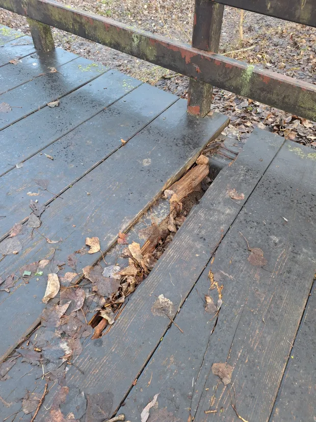 Most na stazi za hodanje i trčanje na lijevoj obali Dravesiječanj 2026.Snimio: Ivan Alilović