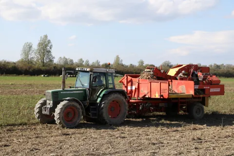 27.09.2024., Novo Selo Palanjecko - OPG Veselic, proizvodnja ekoloskog voca i povrca. Ivan Veselic. Photo: Edina Zuko/PIXSELL