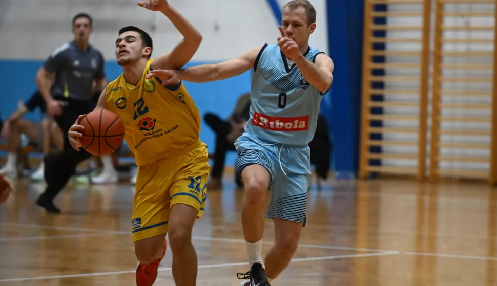 Slavonski tercet u domaćim ulogama