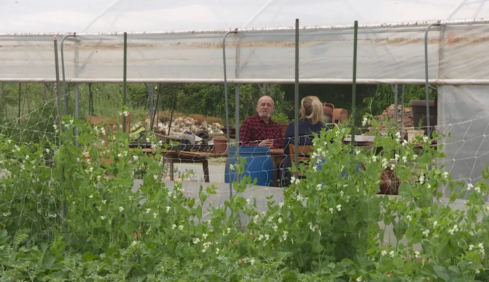 pogled u dvori&scaron;te