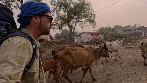 daljine i blizinegoran blažević