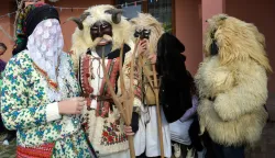 Bu&scaron;e u Dražu