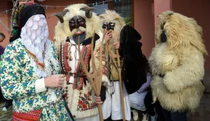 Bu&scaron;e u Dražu