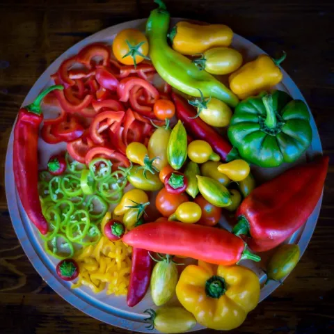 BELI MANASTIR - TATJANA - SA&Scaron;ICA, AUTORICA POPULARNOG FOOD PROFILASIJEČANJ 2026.