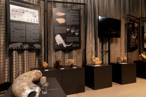 U Muzeju vučedolske kulture otvorena je gostujuća izložba "Doba leda i vatre"