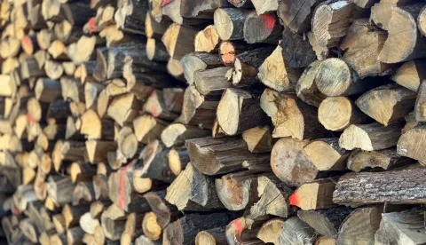 Osijek, 19. 01. 2026., ogrijev; grijanje; drvo; drva; grijanje na drva; slobodnjak, slobodnjaciSNIMIO BRUNO JOBST