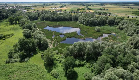 DONJI MIHOLJACJavna ustanova Agencija za upravljanje za&scaron;tićenim prirodnim vrijednostima na području Osječko-baranjske županije prijavila je projekt "Pobolj&scaron;ano upravljanje Posebnim ornitolo&scaron;kim rezervatom Podpanj" na poziv Ministarstva za&scaron;tite okoli&scaron;a i zelene tranzicije u okviru Programa "Konkurentnost i kohezija 2021. &ndash; 2027." koji je sada odobren, a uskoro slijedi i Odluka o financiranju, obavijestili su iz Županije.2026.