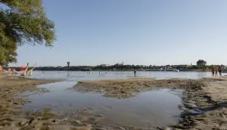 Vukovarska ada, srpanj 2022