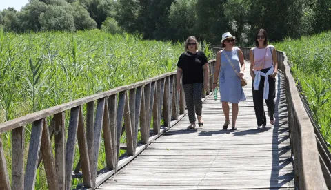 Kopački rit, 02. 07. 2025., Park prirode, Kopački rit, obilazak, kontinentalni turizam, turizam, turisti, turist, ljeto, vrućina, &scaron;etnja, prirodaSNIMIO BRUNO JOBST