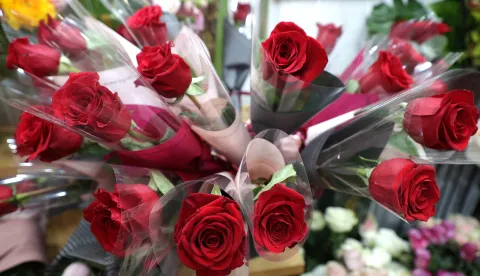 Osijek, 14. 02. 2025., Valentinovo, Valentinovo 2025, ilustracije, cvijeće; buket; buketi; ruža; ružeSNIMIO BRUNO JOBST