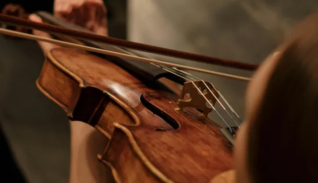 violina, svira violinu