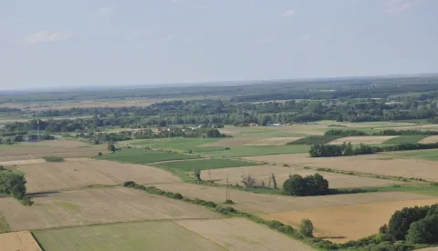 Općina Bizovac objavila javni poziv za potpore poljoprivrednim gospodarstvima u 2026.