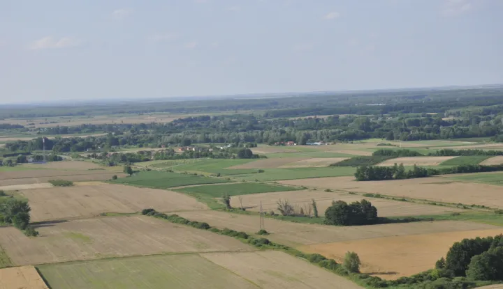 Općina Bizovac objavila javni poziv za potpore poljoprivrednim gospodarstvima u 2026.