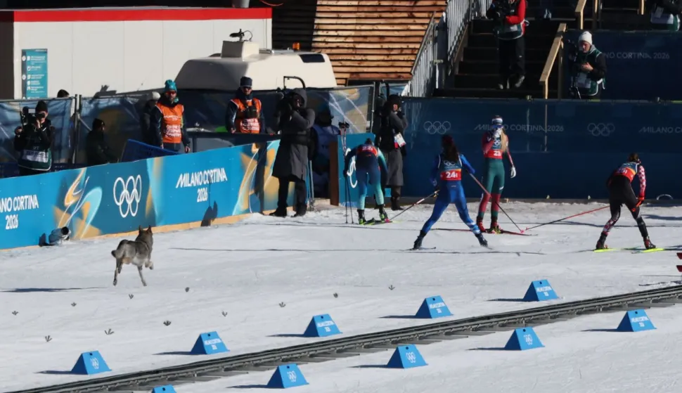 TOPSHOT - A dog wanders on the ski trail during the women's team cross country free sprint qualification event of the Milano Cortina 2026 Winter Olympic Games at Tesero Cross-Country Skiing Stadium in Lago di Tesero (Val di Fiemme), on February 18, 2026. (Photo by Anne-Christine POUJOULAT/AFP)
