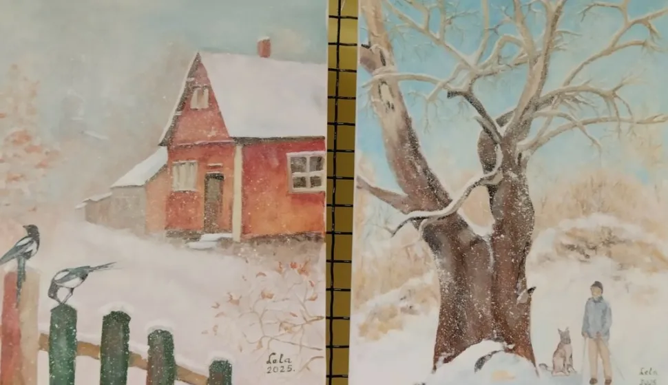 Izložba Konačno snijeg Jelke Turkalj
