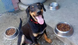 Dođite do Azila i uljep&scaron;ajte dan Breni, Bati, Zagoru i ostatku ekipe!