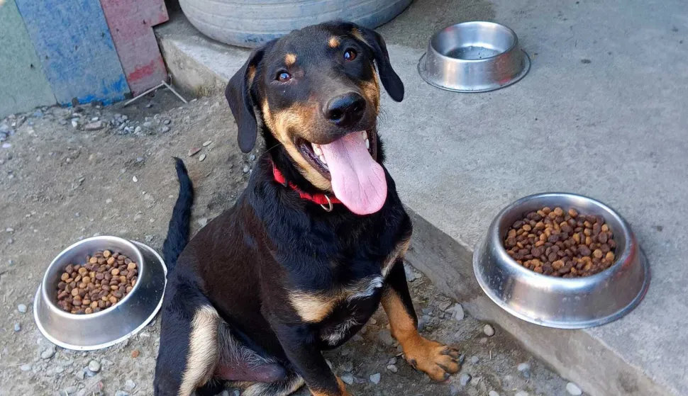 Dođite do Azila i uljep&scaron;ajte dan Breni, Bati, Zagoru i ostatku ekipe!