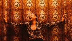 Miles Kane: &ldquo;Sunlight In the Shadows&rdquo; - Album pun topline, energije, spontanosti i emocionalnosti