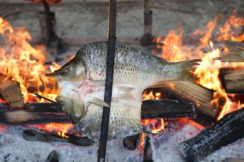 Kopačevo, 14. 09. 2024., 26. Ribarski dani u Kopačevu, ribarski dani, Kopačevo, &scaron;aran na ra&scaron;ljamaSNIMIO BRUNO JOBST