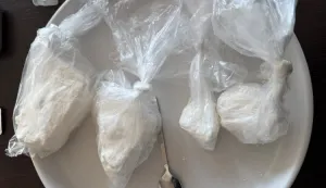 Zaplijenjeni kokain u Zagrebu