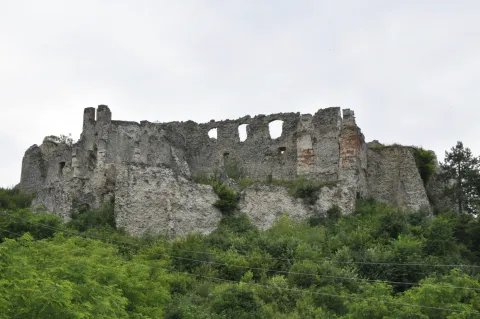 Ružica gradSNIMIO: VLADIMIR GRGURIĆ