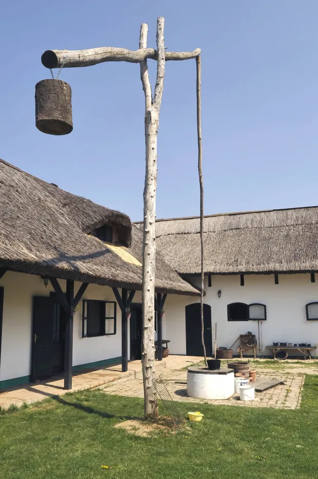 sala&scaron; IP&Scaron;A kod Čeminca - baranja