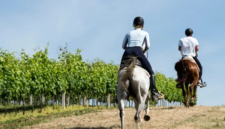 Ranč Ramarin Garčin Prilog