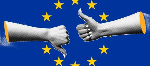 MAGAZIN EUROPAEU flag &copy; Teodora ART Shutterstock